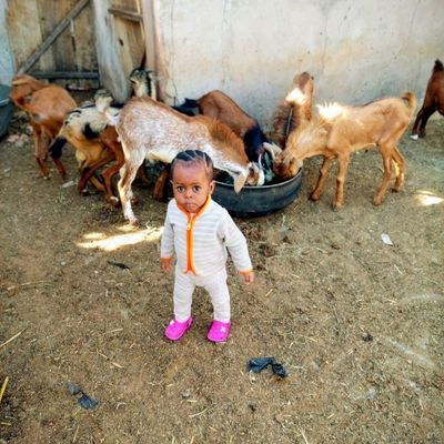 Wahjol's profile picture. No Man is Poor Because Nature is Poor or bcos There is Not Enough 2Go Around.