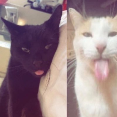 yakirikuu's profile picture. 