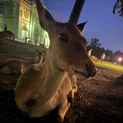 negokochiwarui's profile picture. そっけん1ねんせい