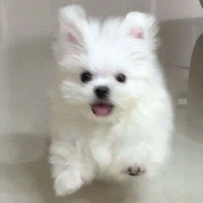 heyinghyun's profile picture. #백현 @B_hundred_Hyun ✴︎