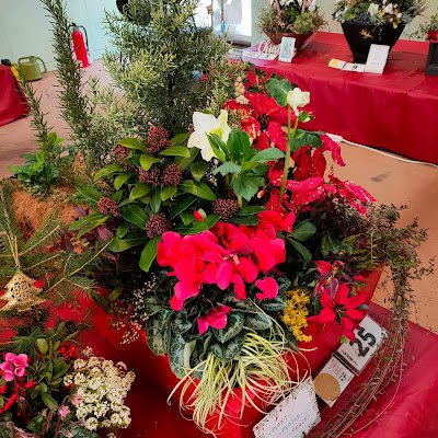 akiemyungji's profile picture. 