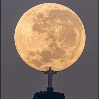 ncbullseye's profile picture. Realist, common sense, guided by truth and the good Lord.
Defender of our Constitution and Liberty .
An armed society is a polite society. No Porn or DM'S