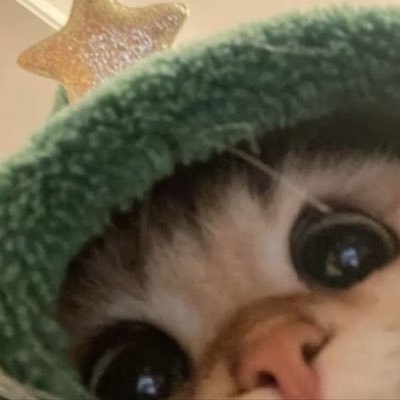 staybobo01's profile picture. PASS SA BOBO