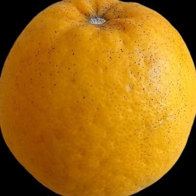 shocora98627's profile picture. 統合失調症2級。AC 。4歳頃から、神様の幻覚。中３から不登校。27歳～統合失調症の治療開始。元、キリスト教会員1998.6.27(17才)～2025.5.21。2024.3～生活保護。6歳上の双極性障害の彼氏2024.11.2～。無言フォロー失礼いたします🙇