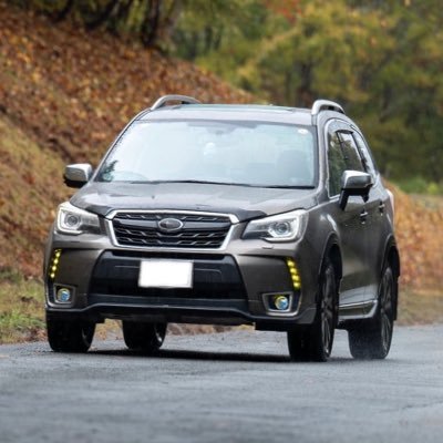 neige_HiRes's profile picture. 