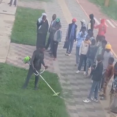 uptownabesha's profile picture. A Voice for Equality & Justice in Africa