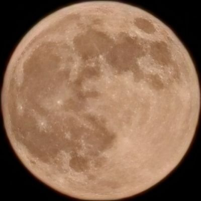 KerimUz_1's profile picture. ...