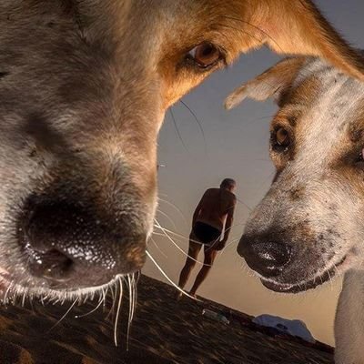 tr4y1_'s profile picture. 