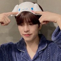 laws • puppym fan club president (@seungpymin) 's Twitter Profile Photo