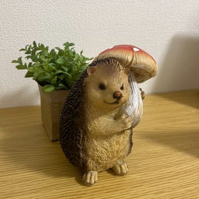 NAYA_YUMEKInoko's profile picture. YUMEKI、izna応援用アカウントです！ よかったら仲良くしてください(^^) オタ活初心者の30代後半 基本ヨジャの雑食ぎみ Mekiz & Naya