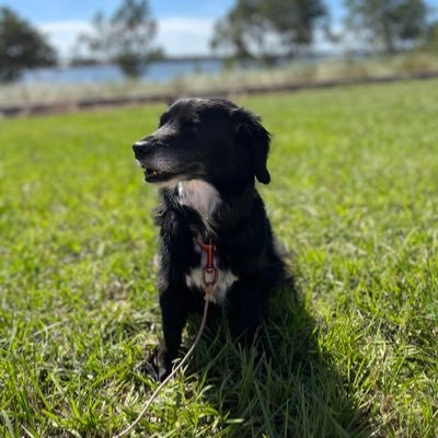 RobGray46719387's profile picture. 