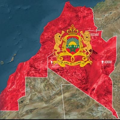 Mostafa2371741's profile picture. 