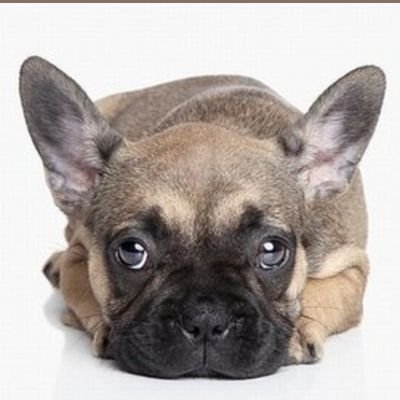 oTTo_reserv's profile picture. Мордор должен быть разрушен! РФ=рак планеты.
Вата, рашисты, имперцы- МИМО!
Это резервный аккаунт  ⁦@a_z_a_z_e_l_l_o⁩, на случай блокировки, которая и произошла.