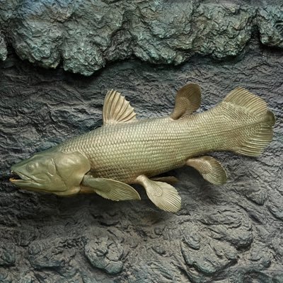 キンケツゥ・ナウ (@StarPredator247) / Posts / X