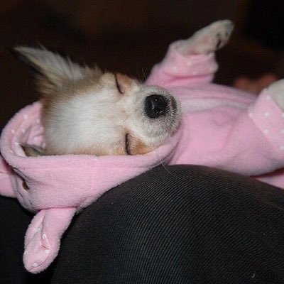 evouzz's profile picture. 