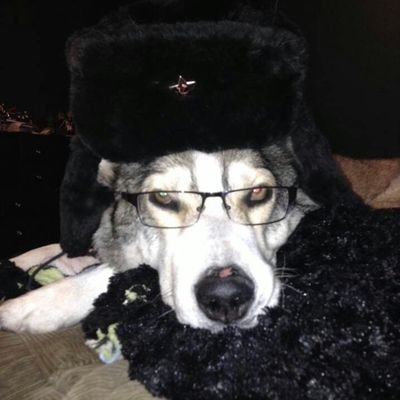 _Void1131's profile picture. He/Them |19| gay🏳️‍🌈 | eng | 
🔞