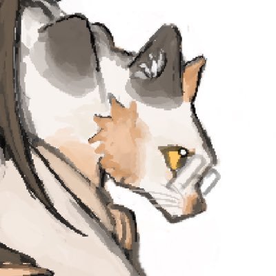 calicocatarea's profile picture. ◌₊˚⋆ ดา/Keke | LCK enjoyer ( #GENGWIN )' | Do not repost without permission | 🐈‍⬛ : @blackcatarea 🏷-*･ﾟ