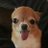 yimyim_pp's profile image