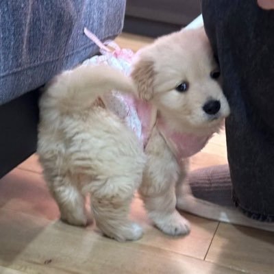 yerbuso24's profile picture. i ♡̤̹anton (no riize no life)