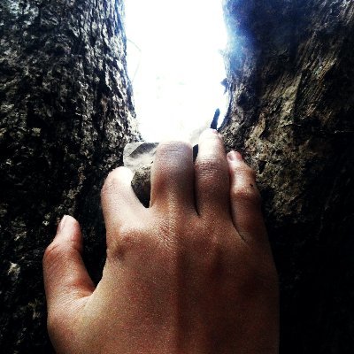 S_traniik's profile picture. 