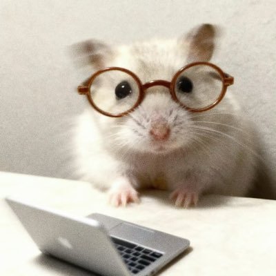 Sallyooohhh's profile picture. 螺蛳粉我爱你～