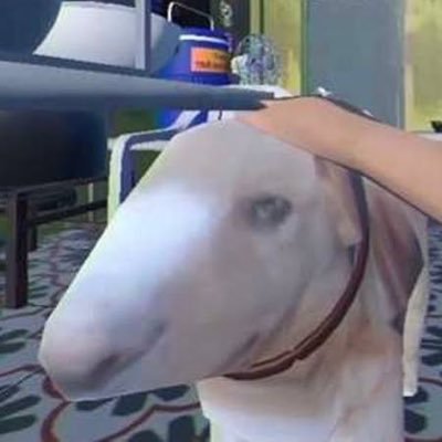 Vinhster_'s profile picture. 21 | he/him | free 🇵🇸🇸🇩🇨🇩