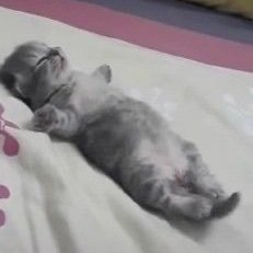 Liqu89's profile picture. 