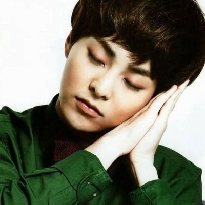 baozicollector's profile picture. xiu₊˚⊹👑 ✫💐ᜊ👸✨. =^^=

.                                                      

₊. 63 russell lover +. já volto