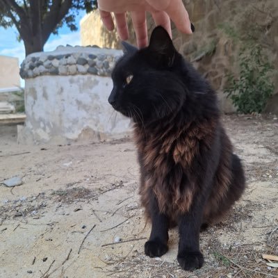 egyp_ian_rose's profile picture. уметност, природа, 🌸личанка, јако комликована личност, 🎶 💻