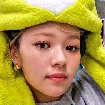 jeongchip's profile picture. 🐶🦌🐹