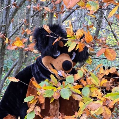 Doggy_Bronco's profile picture. I’m Bronco, a playful, cheeky Rottweiler with a dominant streak who also enjoys being led by someone who knows what they're doing. 😉