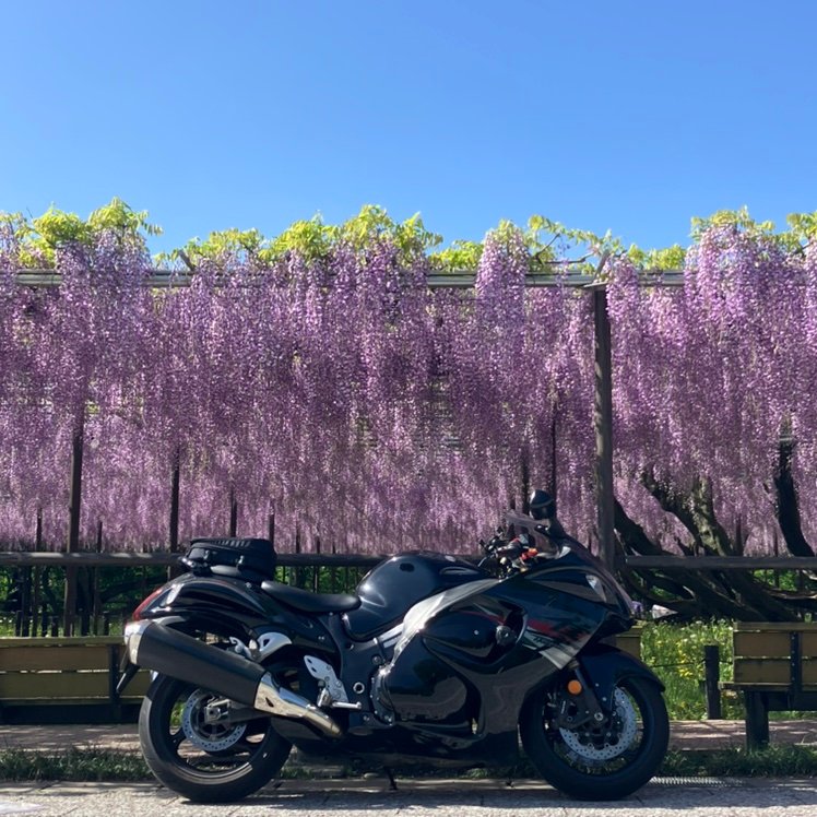ka_na1210_'s profile picture. 黒のスカイウェーブ250→ブラウンのスカイウェーブ250→バルカンs→現在GSX1300r 隼とヤマハ セロー250とヴェルデ50所有🏍️💨   基本ソロツー✨綺麗な景色、美味しいもの巡り好き🍜☕ ぜひ仲良くしてください💕無言フォロー大歓迎✨