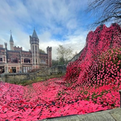 fospne's profile picture. Privacy policy: https://t.co/7FmW26AKGk