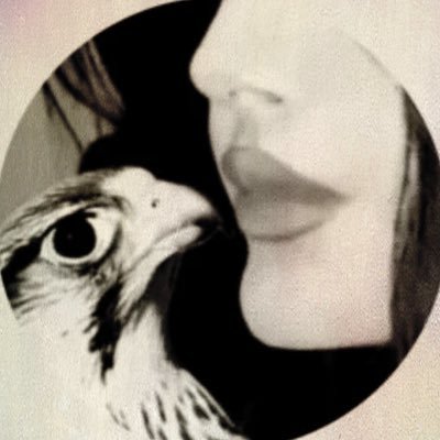 iilsni's profile picture. https://t.co/o7QNyXEbDj