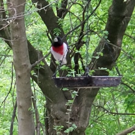 kma916's profile picture. 🍿