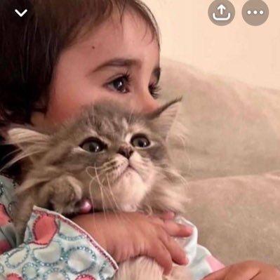 LatifaAlsh23273's profile picture. 