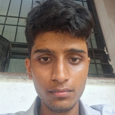 pal_sanidhya's profile picture. web developer | ml engineer