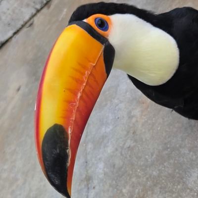 kyouumarekawaru's profile picture. 当たり前の普通が幸せでいいんだよな