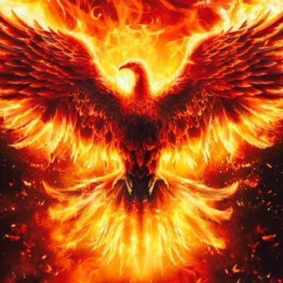 aliyev_nat86979's profile picture. 