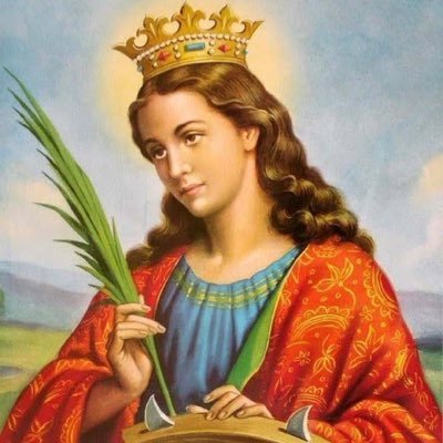 CatarinaSagaz's profile picture. Curta, compartilhe, comente, discorde, a lógica dessa ferramenta não é só seguir passivamente.