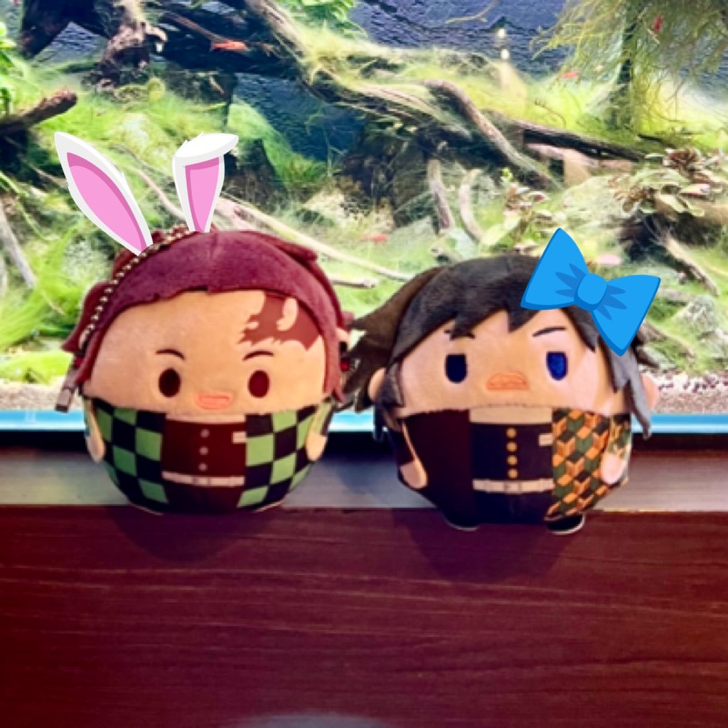 in_silence's profile picture. 🏳️‍🌈 Japanese Manga, Anime, BL, Danmei, Songs, Vtuber, Travel, Coffee & Food Lover! 💕 Multifandom ✨ 🐶🐱🐤🐏🦅🎸🤍💜🦉🌱| Thai&Eng&日本語 OK! ✨#รีวิวให้อซล