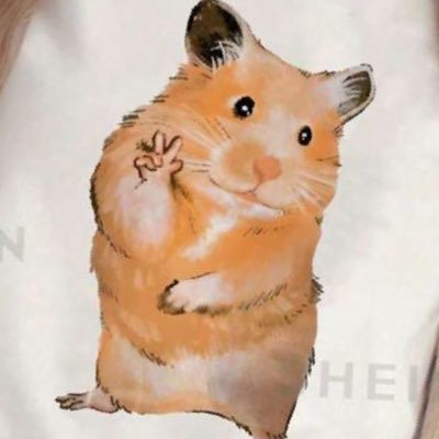 guchihakutoko's profile picture. 