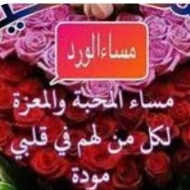 srh1826423's profile picture. 