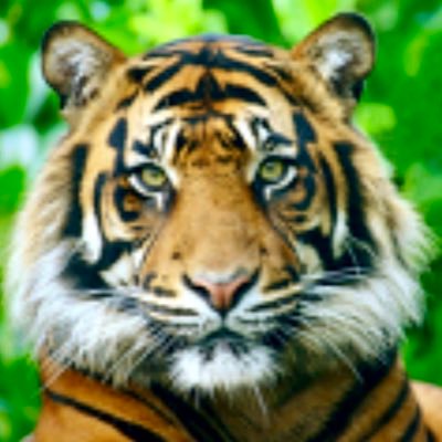 kaworu_yoi's profile picture. 昭和産腐女子。🈶🈚️相手固定。推しCP以外は雑食。腐ネタ叫ぶので一般人はブロ解します🙏裏は相互さんのみ→@ura_yrko