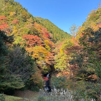 Travis96356030's profile picture. サンダルで走る人🩴 PB:◆フル3:28:03◆ハーフ1:29:20 ◆5㌔17:56 目指せサブスリー・来年はトライアスロン・月1アワイチ中