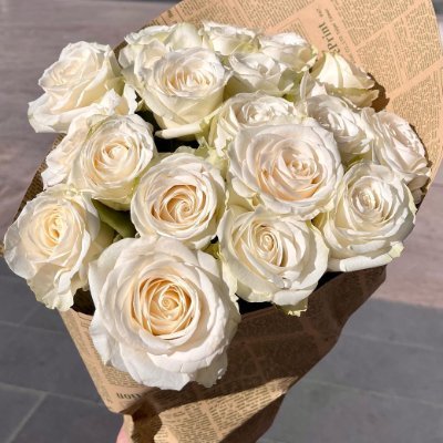 birdofMinevsq's profile picture. I'm forever dreaming of cobblestone streets and rainy afternoons.