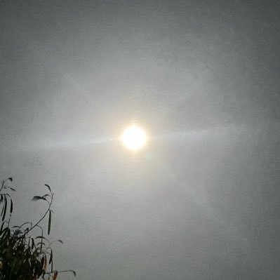 IsaganiZol94466's profile picture. 