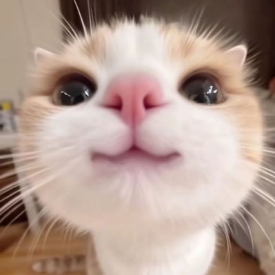 unyeeh8's profile picture. 소장