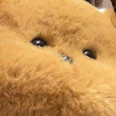 sherbetlandmk8's profile picture. whatever just vote