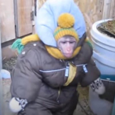 mcsstg's profile picture. beisbol. padres. y otras cosas